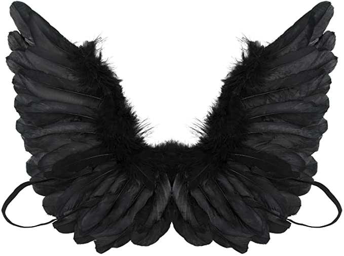 Detail Black And White Angel Wings Nomer 4