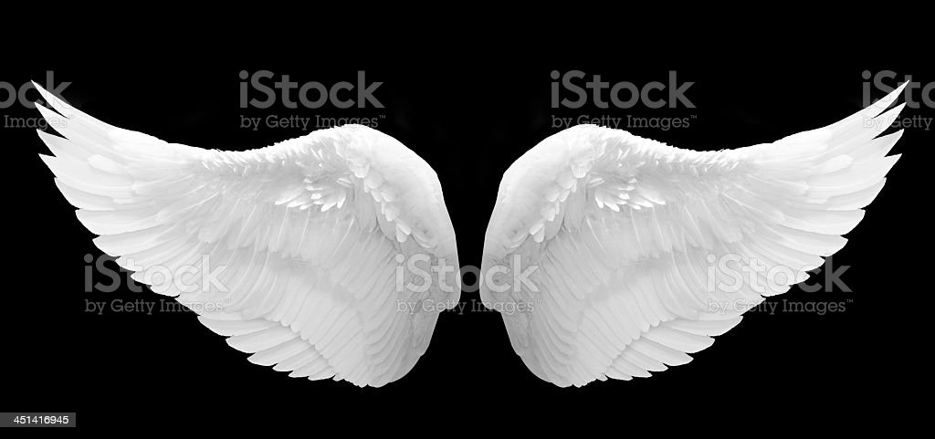 Detail Black And White Angel Wings Nomer 10