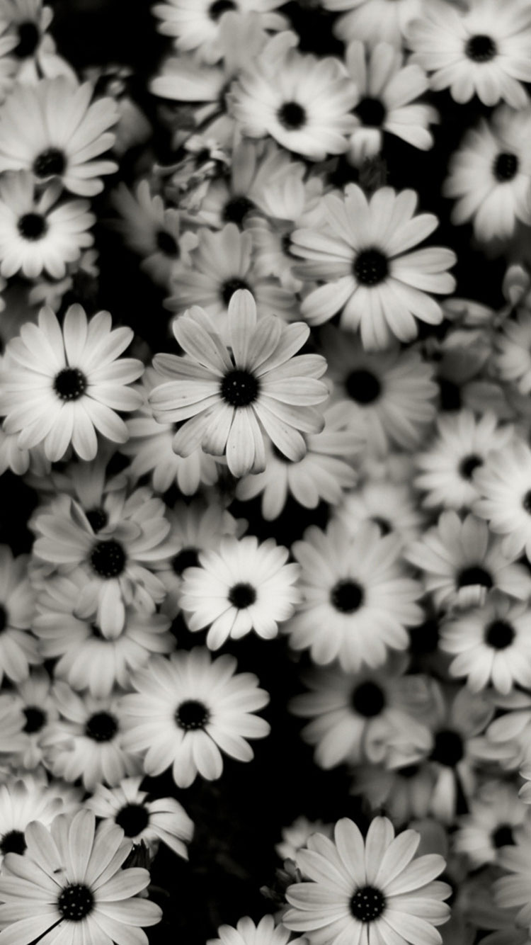 Detail Black And White Background Hd Nomer 53