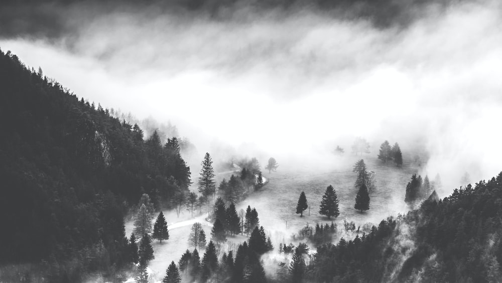Detail Black And White Background Hd Nomer 58