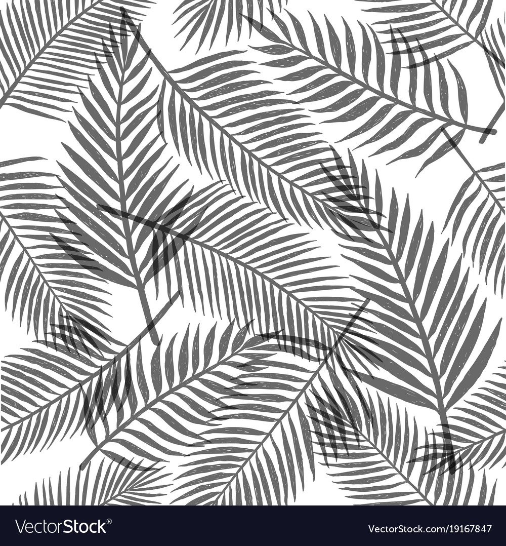 Detail Black And White Background Vector Nomer 18