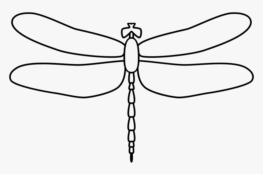Detail Black And White Dragonfly Clipart Nomer 9