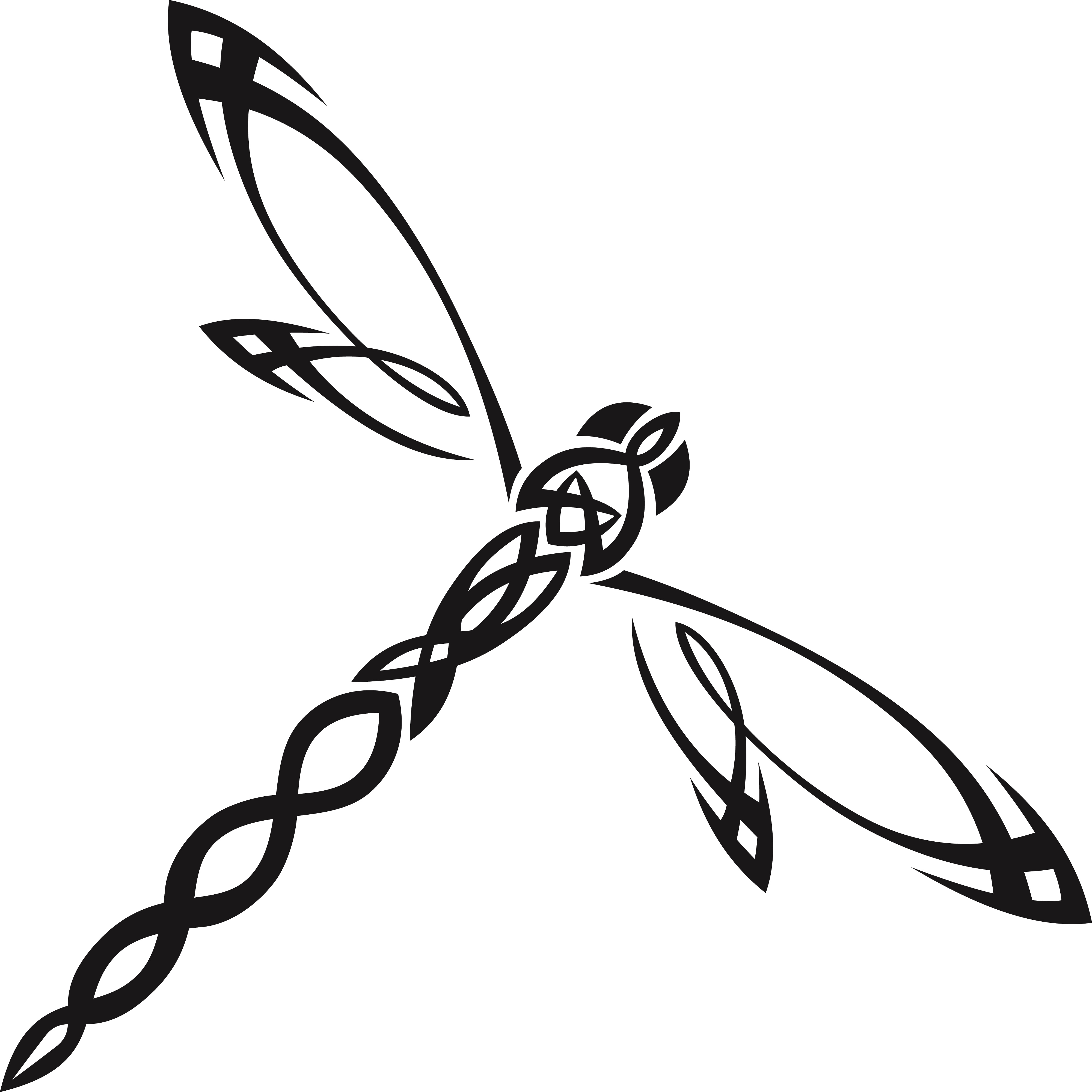 Detail Black And White Dragonfly Clipart Nomer 29