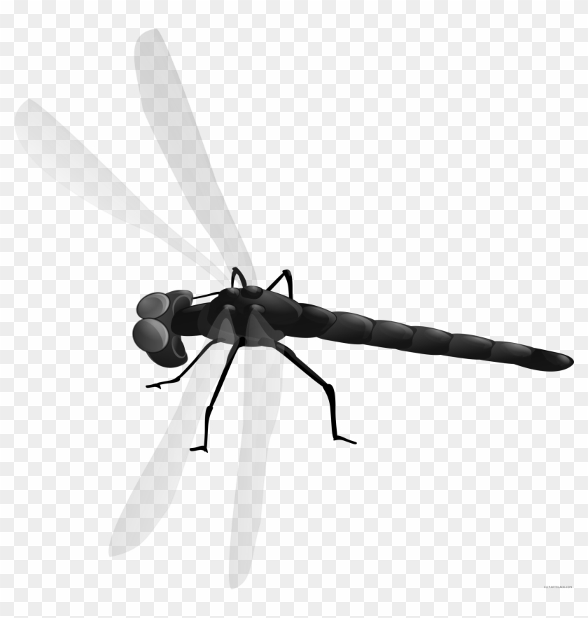 Detail Black And White Dragonfly Clipart Nomer 30