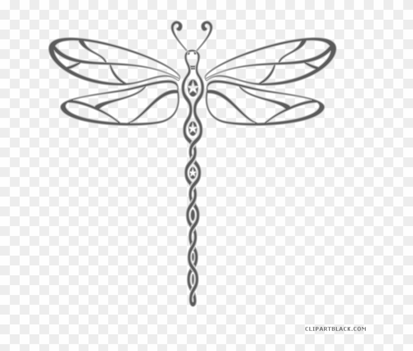 Detail Black And White Dragonfly Clipart Nomer 34