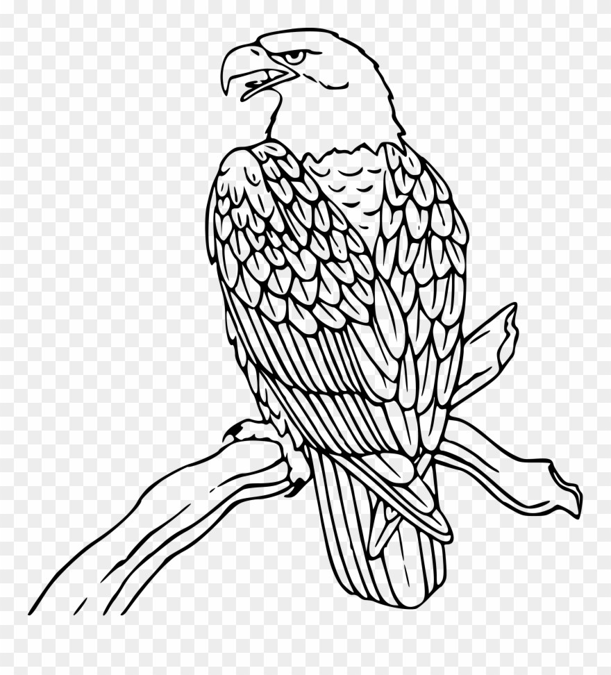 Detail Black And White Eagle Clipart Nomer 8