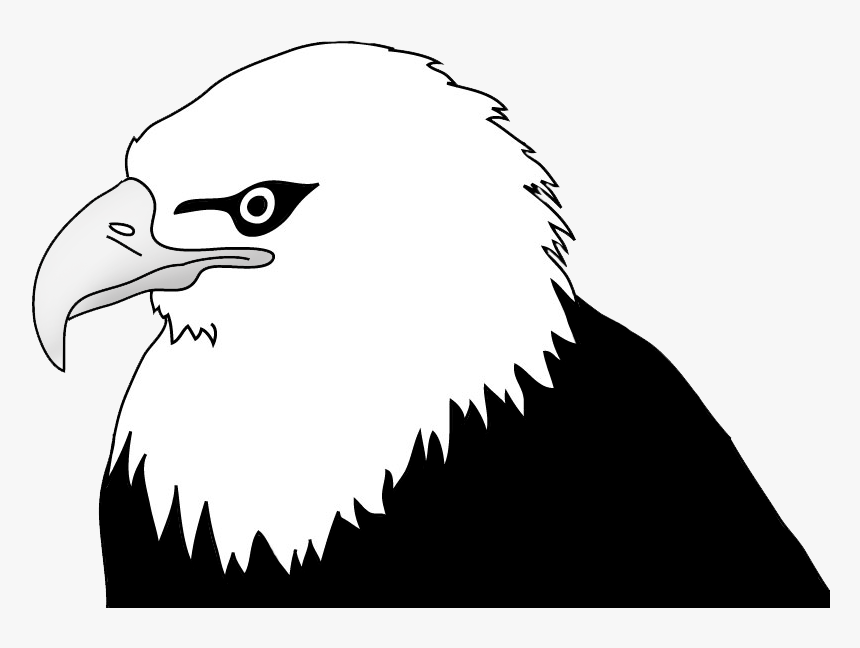 Detail Black And White Eagle Clipart Nomer 17