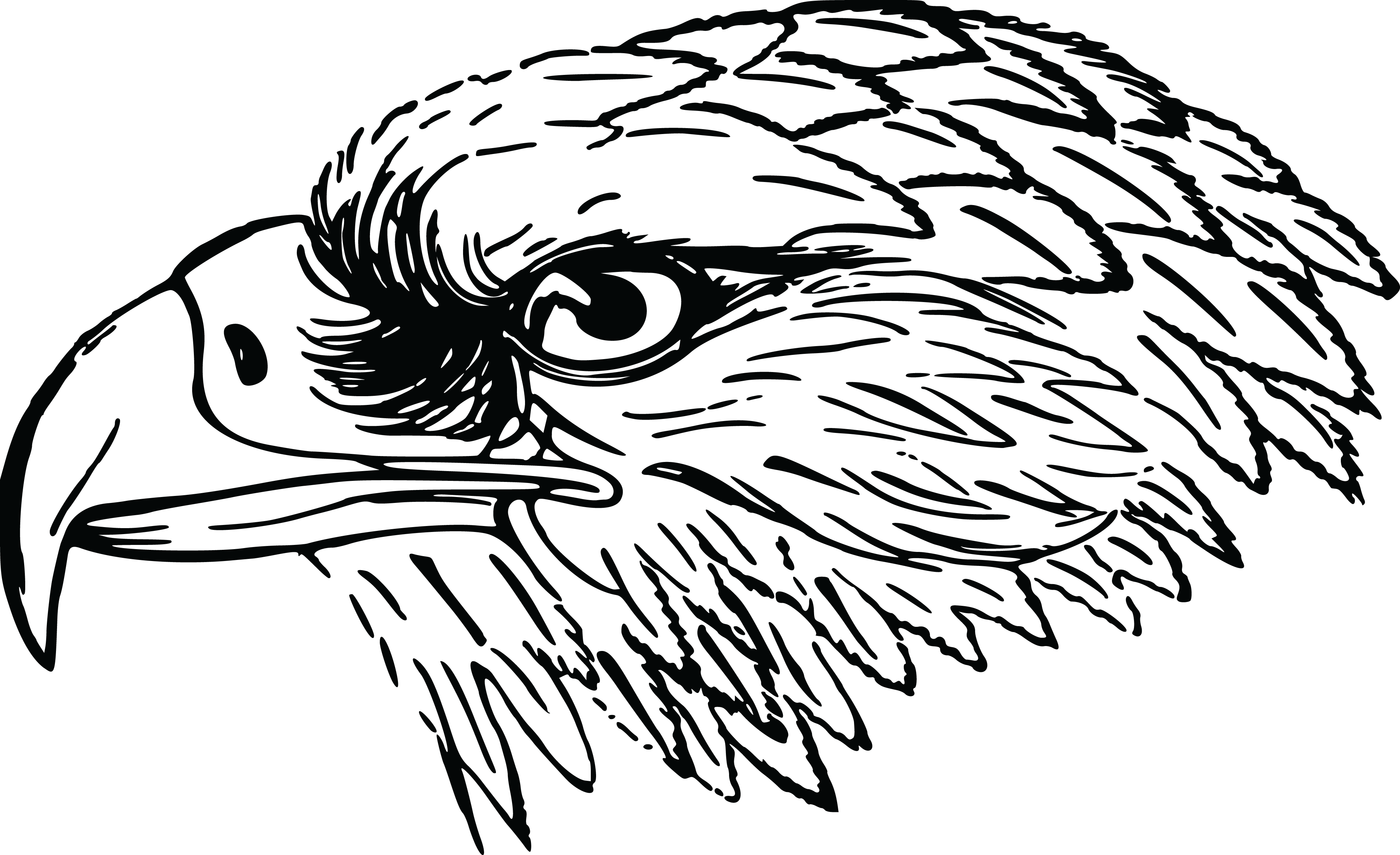 Detail Black And White Eagle Clipart Nomer 3