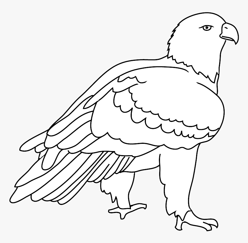 Detail Black And White Eagle Clipart Nomer 20