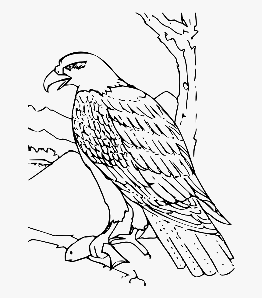 Detail Black And White Eagle Clipart Nomer 34