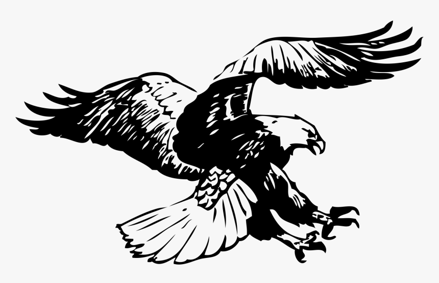 Detail Black And White Eagle Clipart Nomer 43
