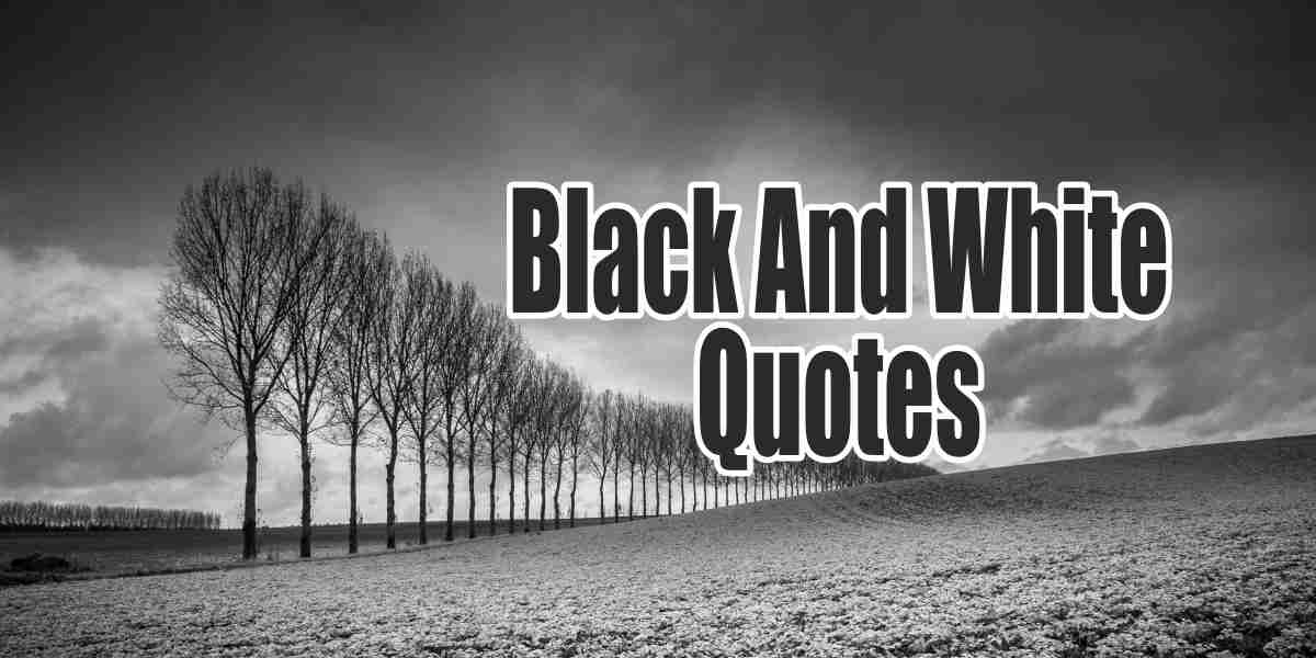 Detail Black And White Quotes About Life Nomer 38