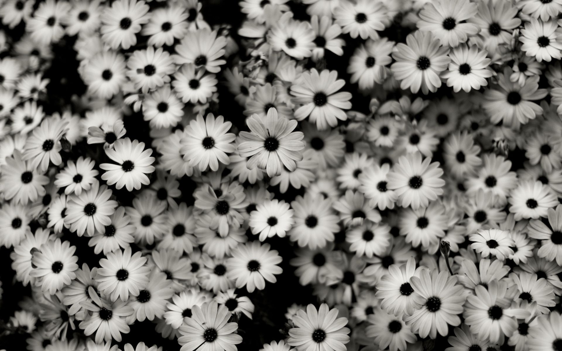 Black And White Tumblr Background - KibrisPDR