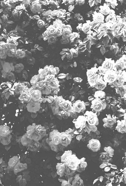 Detail Black And White Tumblr Background Nomer 12