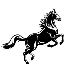 Detail Black And White Vector Nomer 12