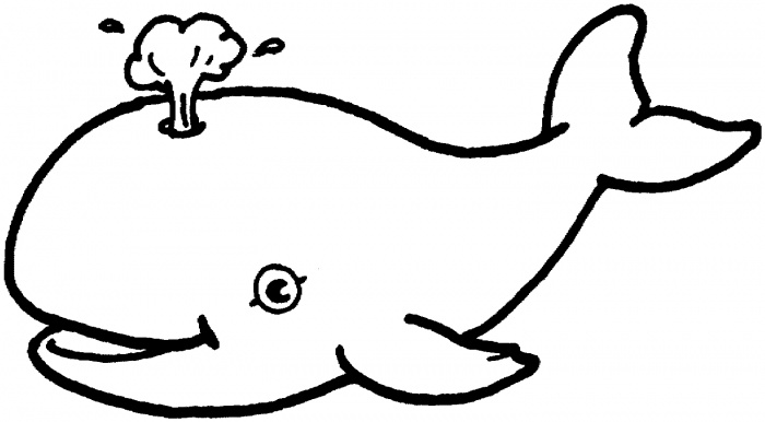 Detail Black And White Whale Clipart Nomer 13