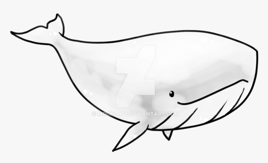 Detail Black And White Whale Clipart Nomer 15