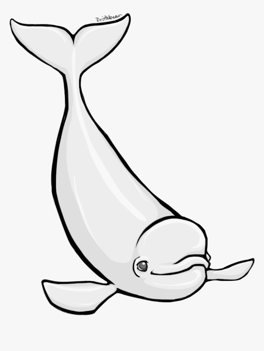 Detail Black And White Whale Clipart Nomer 21