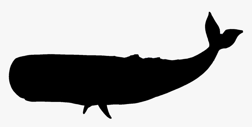 Detail Black And White Whale Clipart Nomer 30