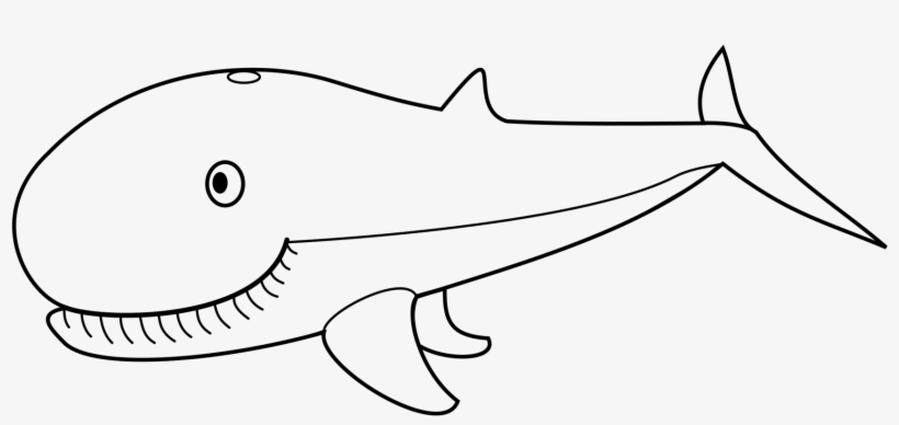 Detail Black And White Whale Clipart Nomer 32