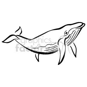 Detail Black And White Whale Clipart Nomer 46