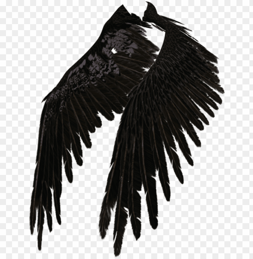 Detail Black Angel Png Nomer 20