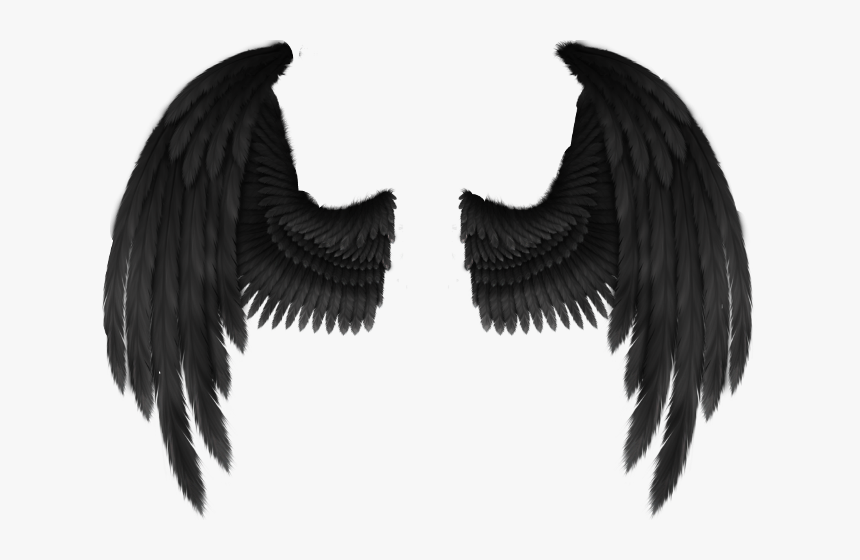 Detail Black Angel Png Nomer 21