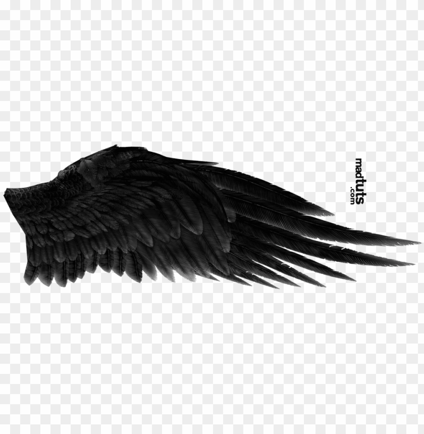 Detail Black Angel Png Nomer 29