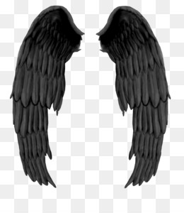 Detail Black Angel Png Nomer 38