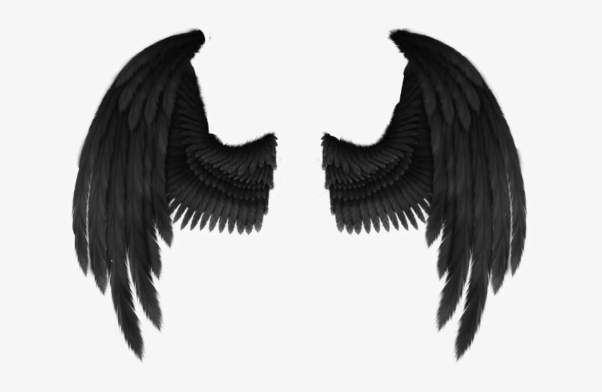 Black Angel Wings Png - KibrisPDR