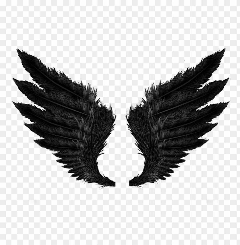 Detail Black Angel Wings Png Nomer 12