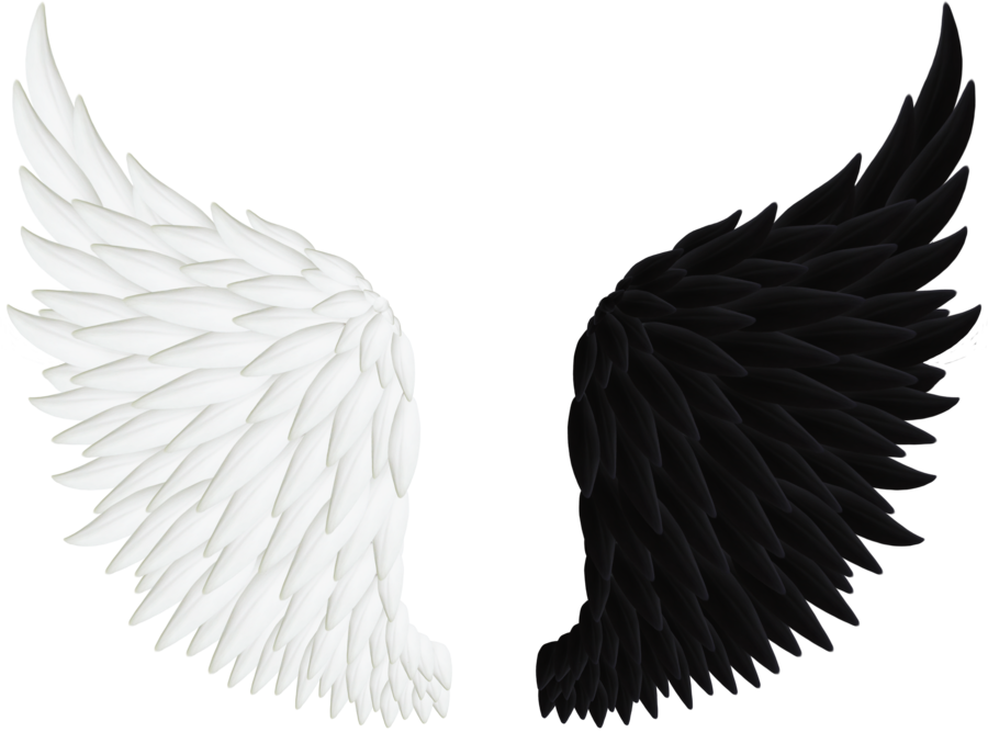 Detail Black Angel Wings Png Nomer 16