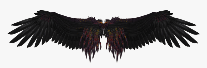 Detail Black Angel Wings Png Nomer 21