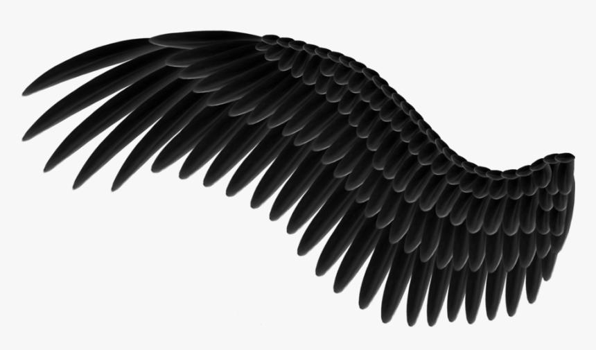 Detail Black Angel Wings Png Nomer 22