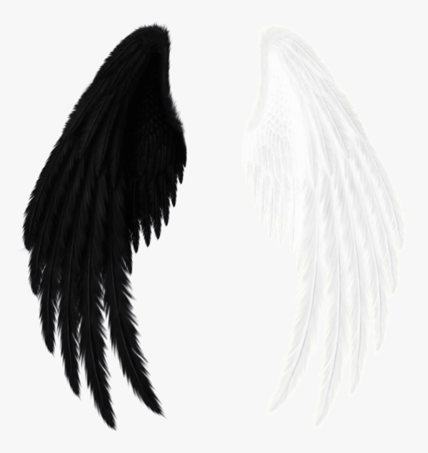 Detail Black Angel Wings Png Nomer 25