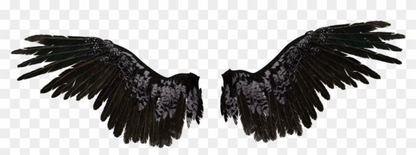 Detail Black Angel Wings Png Nomer 37