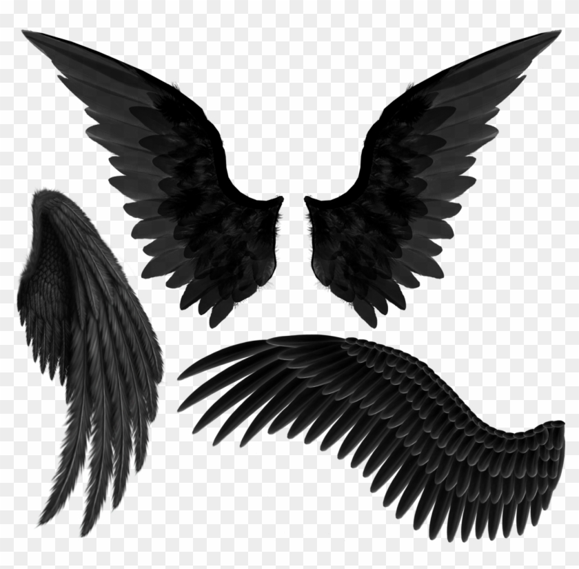 Detail Black Angel Wings Png Nomer 5