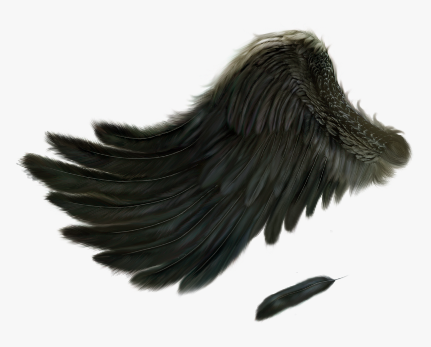 Detail Black Angel Wings Png Nomer 40