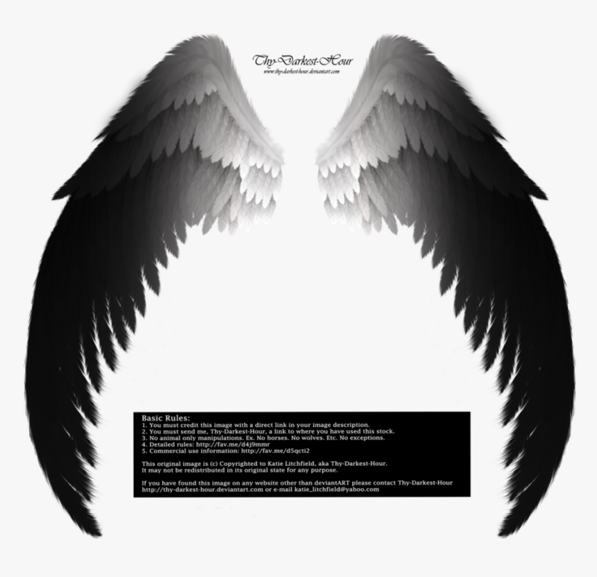 Detail Black Angel Wings Png Nomer 41