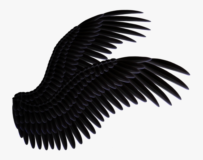 Detail Black Angel Wings Png Nomer 42