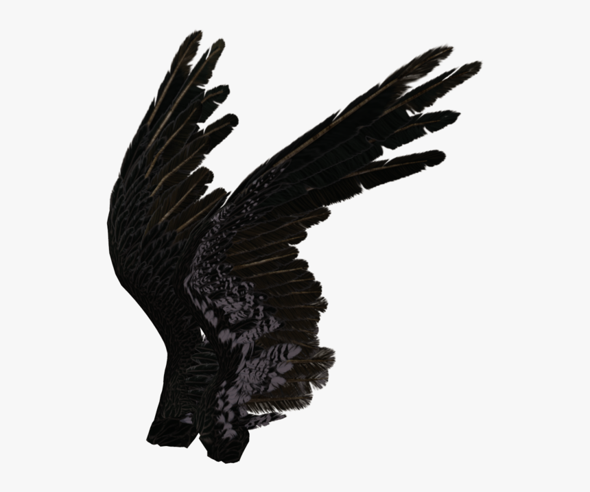 Black Angel Wings Side View - KibrisPDR