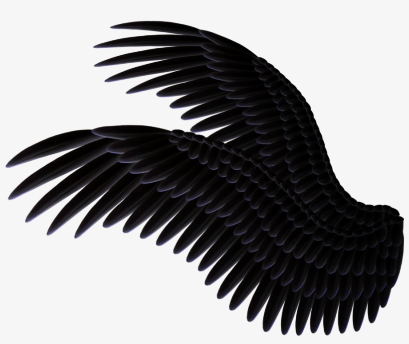 Detail Black Angel Wings Side View Nomer 4