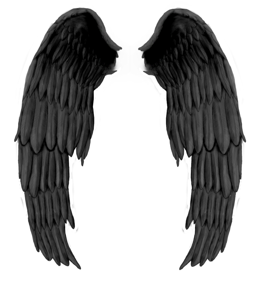 Detail Black Angel Wings Side View Nomer 43