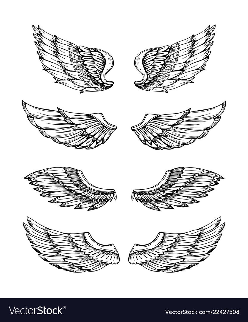 Detail Black Angel Wings Vector Nomer 44