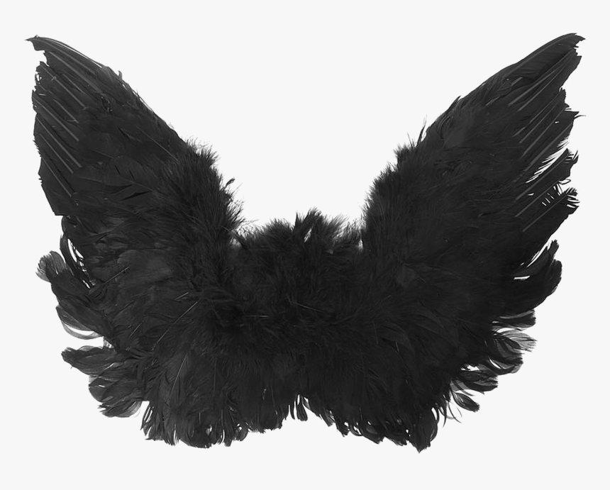 Detail Black Angel Wings Vector Nomer 53