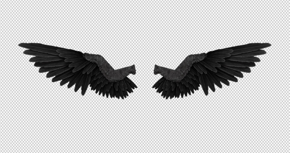 Detail Black Angle Wings Nomer 11