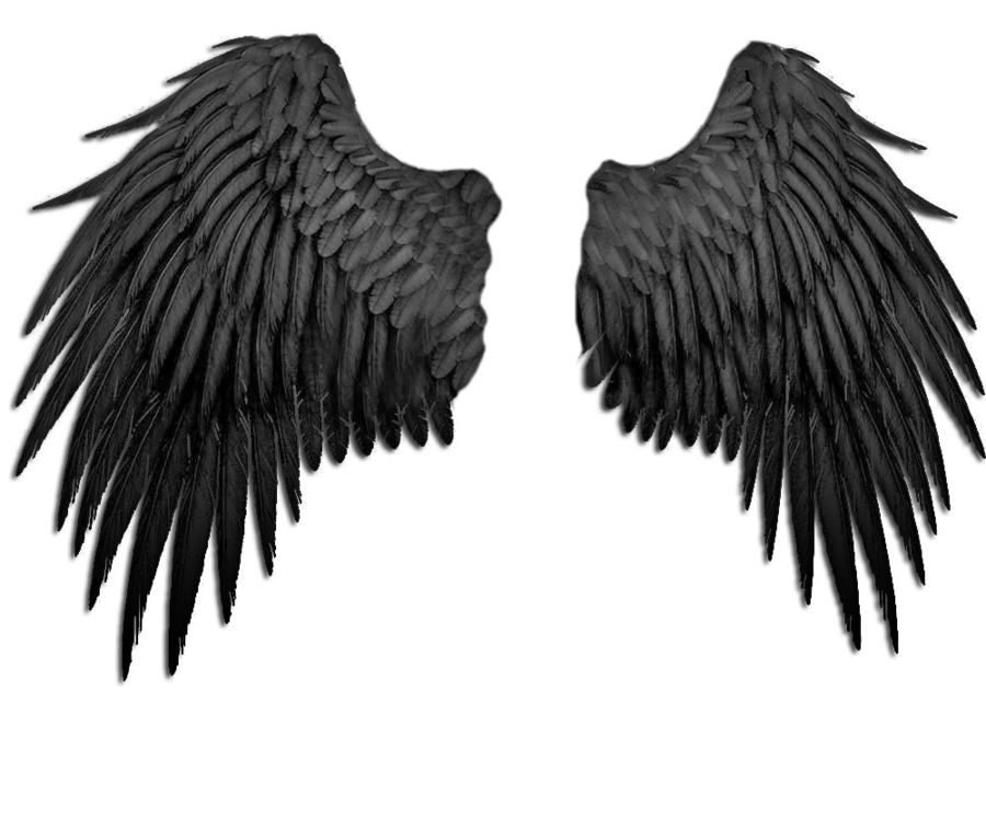 Detail Black Angle Wings Nomer 14