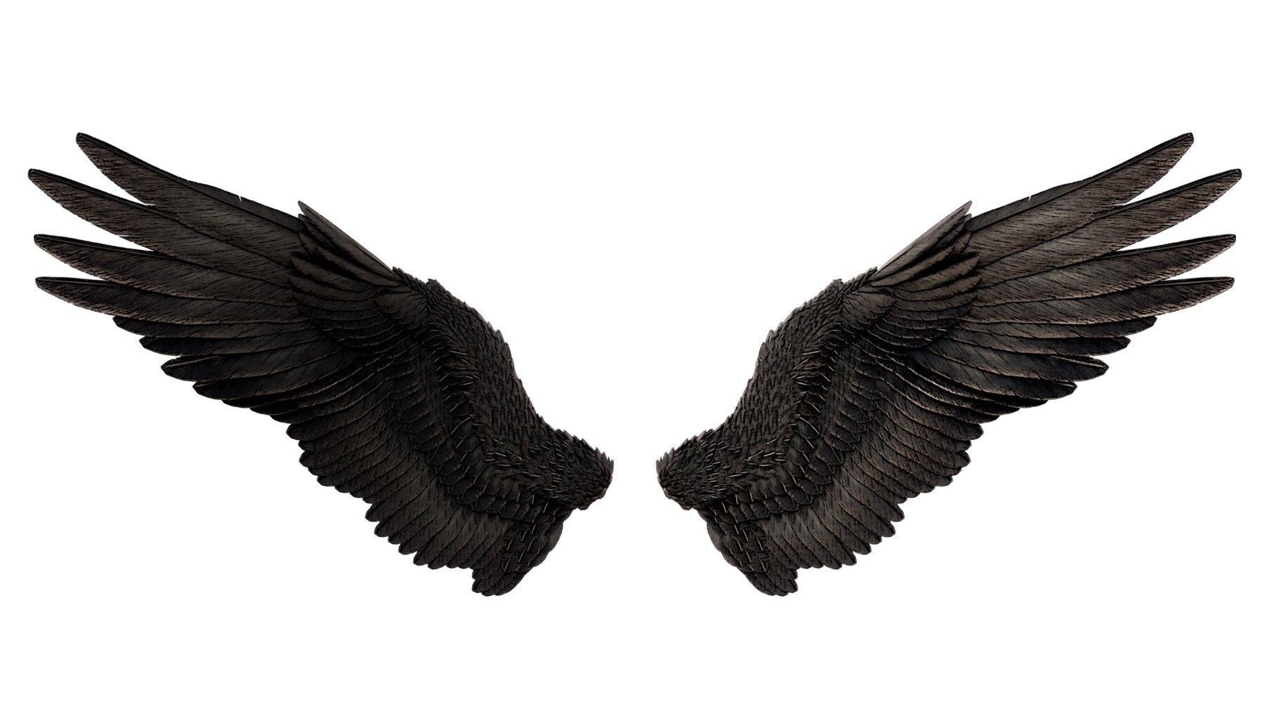 Detail Black Angle Wings Nomer 20