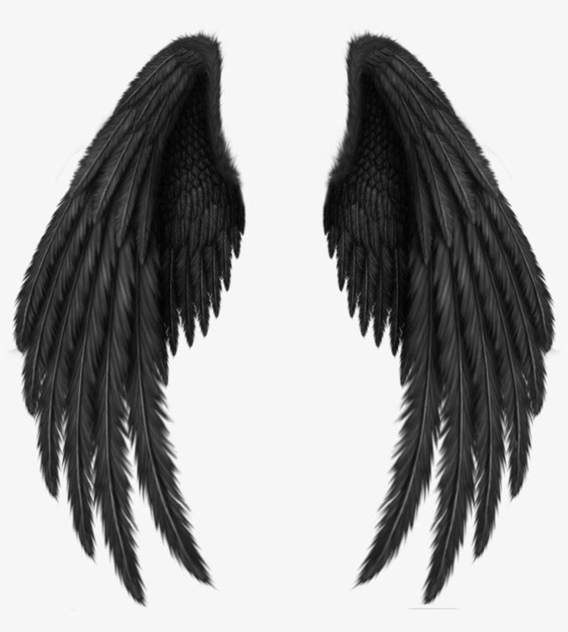 Detail Black Angle Wings Nomer 21