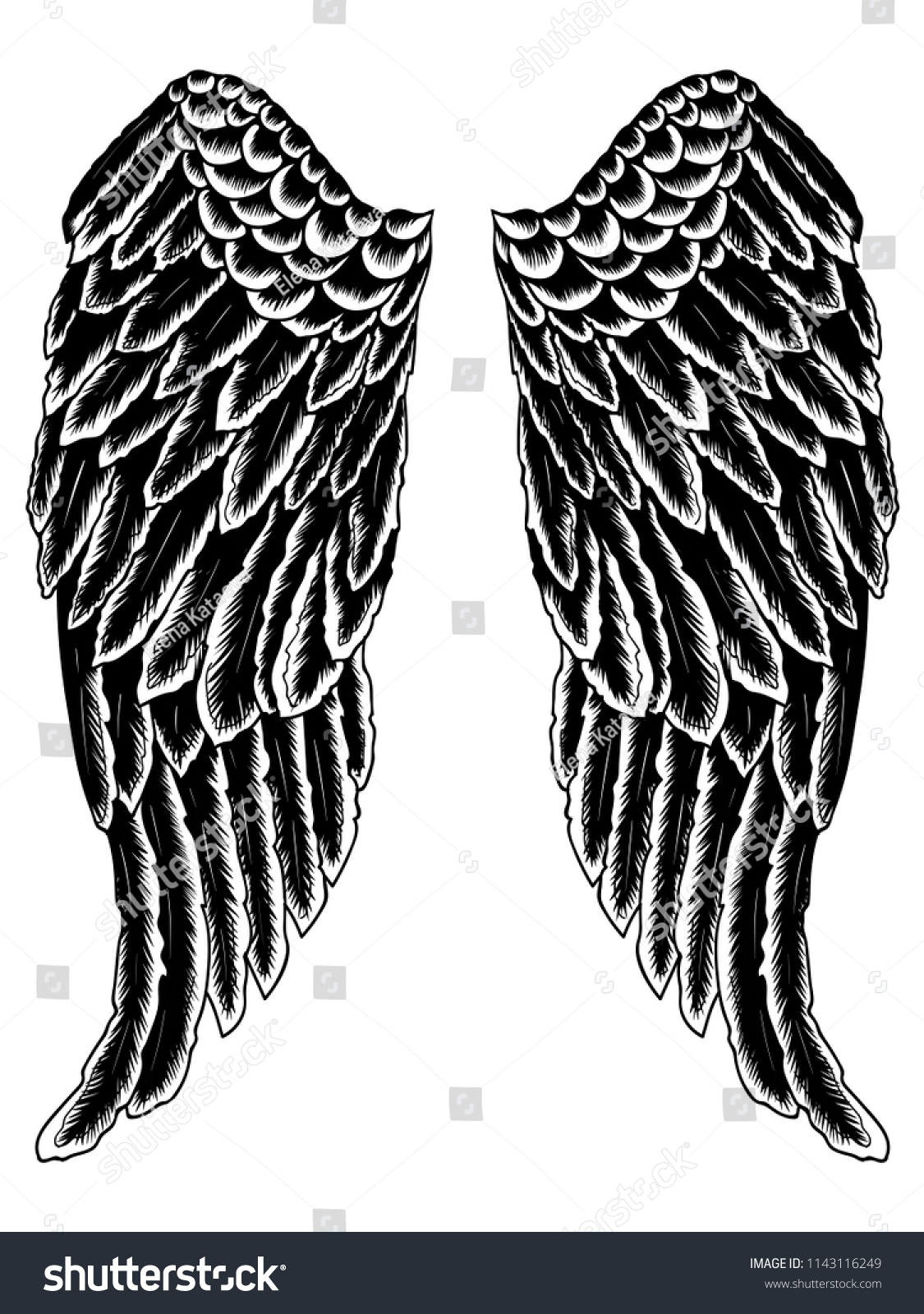 Detail Black Angle Wings Nomer 41